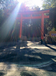 160BB38A-2AE5-48A9-999F-17F28FE76725.jpg
