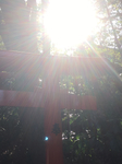 21AD4D3F-301B-4C82-A59C-77FAD89426C7.jpg