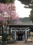 29D624B6-ECFD-403E-AF7F-C31C3DB198F7.jpg