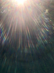 3C6A3D96-2A69-457A-8320-F3309ADA1E4A.jpg