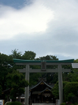 494B19FB-FCAC-4A69-B701-DB5ECA0641F3.jpg
