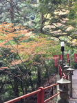 19C95AFA-A000-48D1-A9EE-2B11D55AE698.jpg