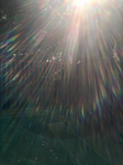 484D2A33-55DA-4D98-9254-C50F9F6B7102.jpg