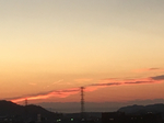9659848D-1887-4E6A-B839-761C1FEC091B.jpg