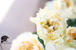 A6B9EB6F-34D5-4650-A691-D365D0363D99.jpg