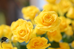 A8FFE829-D866-4D08-8EDC-A7B5DA038029.jpg