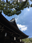 CFE7AB07-49B5-4B87-B995-FCCEC509A484.jpg