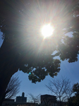 D5348B13-855B-4A61-BF8B-6E26BDEF9551.jpg